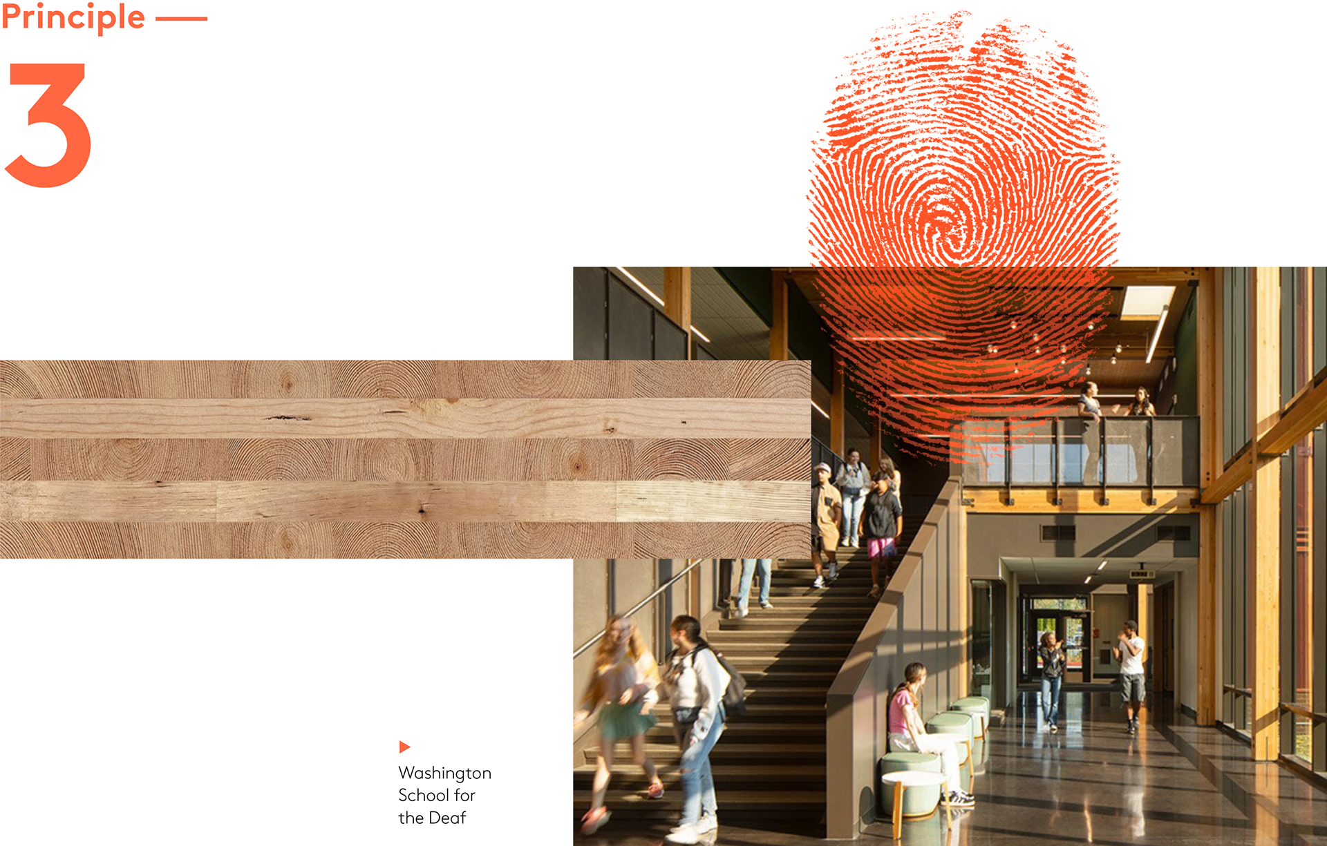 Mithun_MassTimber_P3_1920x1225